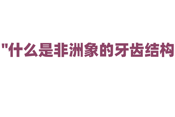 "什么是非洲象的牙齿结构？"